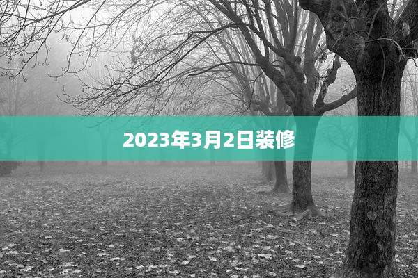 2023年3月2日装修