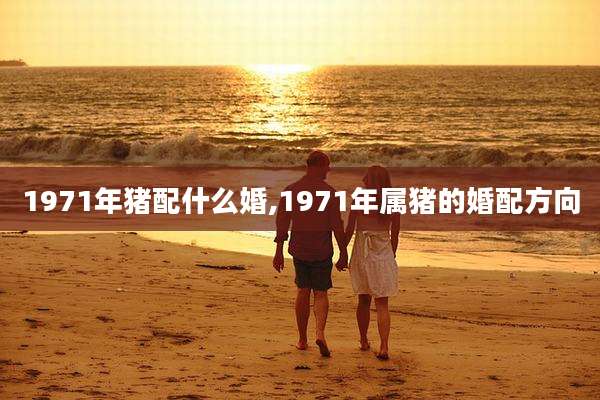 1971年猪配什么婚,1971年属猪的婚配方向