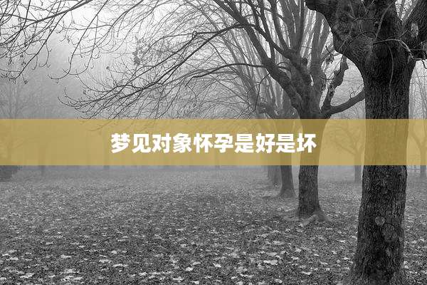 梦见对象怀孕是好是坏