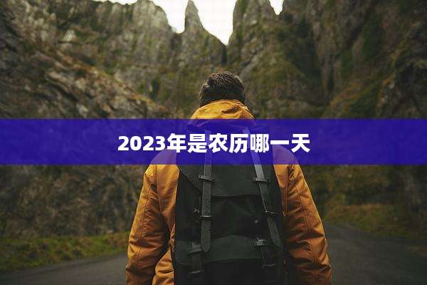 2023年是农历哪一天