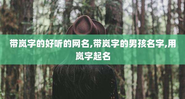 带岚字的好听的网名,带岚字的男孩名字,用岚字起名