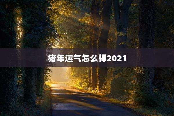 猪年运气怎么样2021