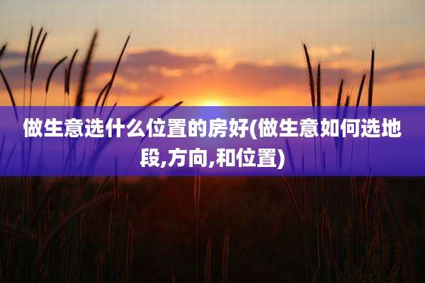 做生意选什么位置的房好(做生意如何选地段,方向,和位置)