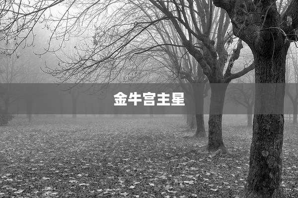 金牛宫主星