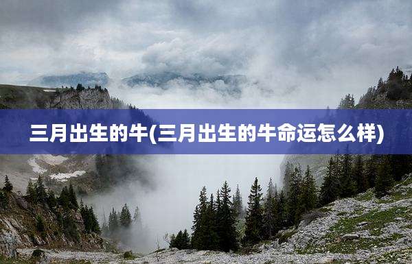 三月出生的牛(三月出生的牛命运怎么样)