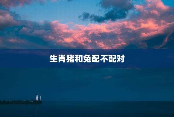生肖猪和兔配不配对