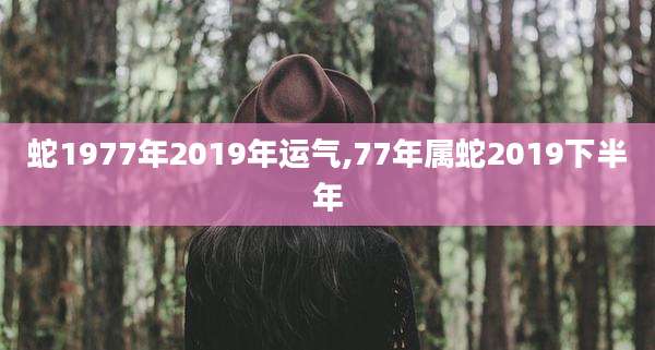 蛇1977年2019年运气,77年属蛇2019下半年