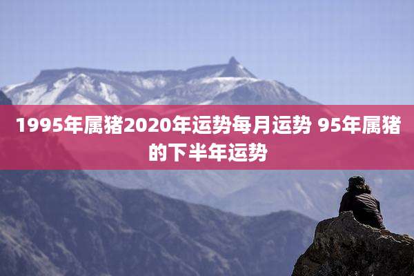 1995年属猪2020年运势每月运势 95年属猪的下半年运势