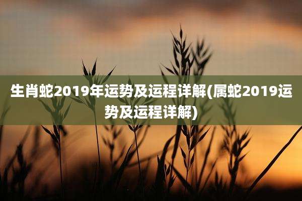 生肖蛇2019年运势及运程详解(属蛇2019运势及运程详解)