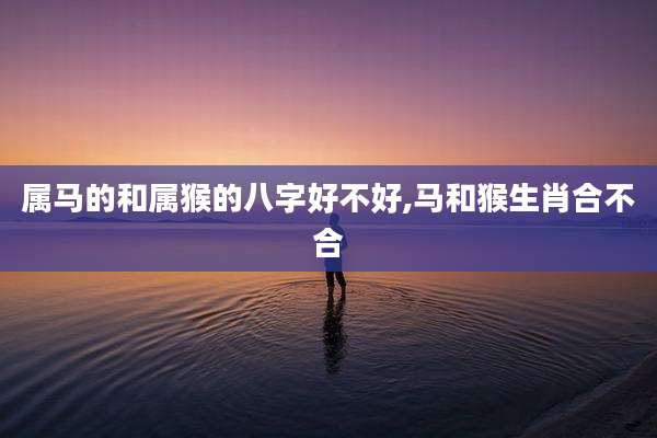 属马的和属猴的八字好不好,马和猴生肖合不合