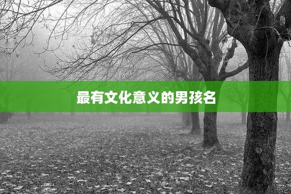 最有文化意义的男孩名