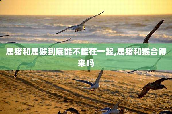 属猪和属猴到底能不能在一起,属猪和猴合得来吗