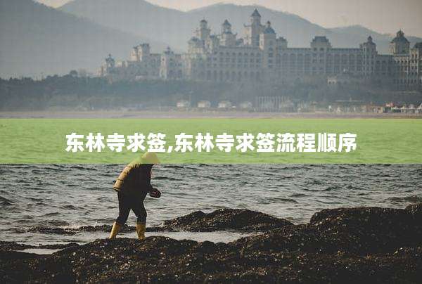 东林寺求签,东林寺求签流程顺序
