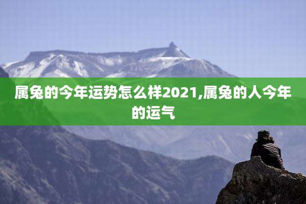 属兔的今年运势怎么样2021,属兔的人今年的运气
