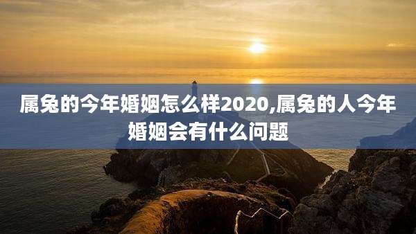 属兔的今年婚姻怎么样2020,属兔的人今年婚姻会有什么问题