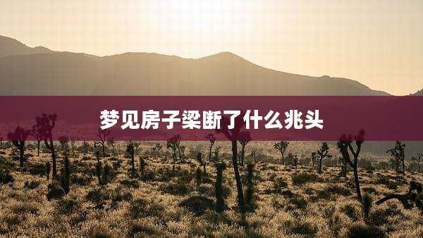 梦见房子梁断了什么兆头