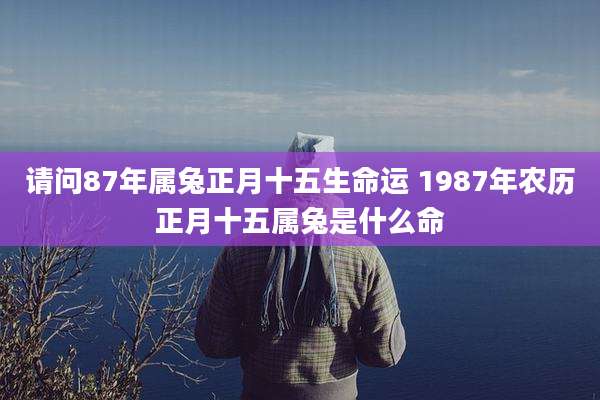 请问87年属兔正月十五生命运 1987年农历正月十五属兔是什么命