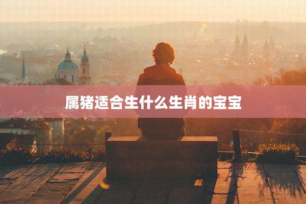 属猪适合生什么生肖的宝宝