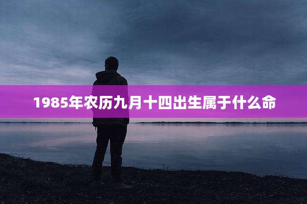1985年农历九月十四出生属于什么命