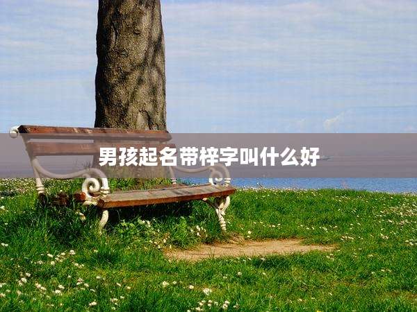 男孩起名带梓字叫什么好