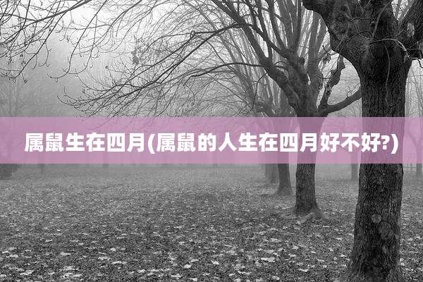 属鼠生在四月(属鼠的人生在四月好不好?)