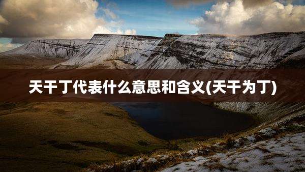 天干丁代表什么意思和含义(天干为丁)