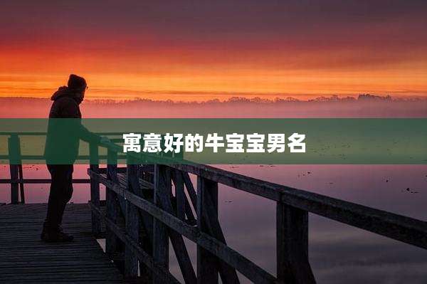 寓意好的牛宝宝男名