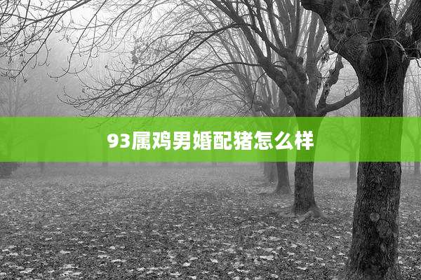 93属鸡男婚配猪怎么样