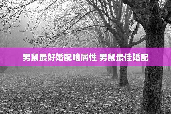 男鼠最好婚配啥属性 男鼠最佳婚配