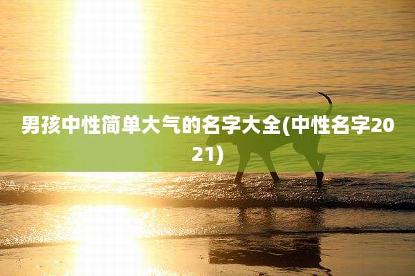 男孩中性简单大气的名字大全(中性名字2021)