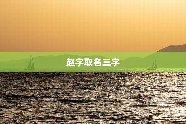 赵字取名三字