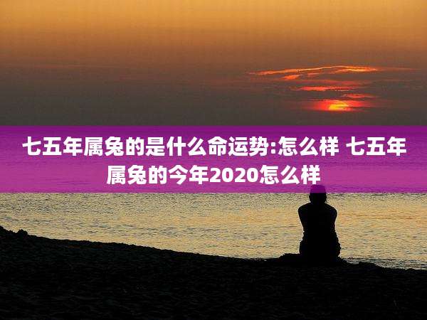 七五年属兔的是什么命运势:怎么样 七五年属兔的今年2020怎么样