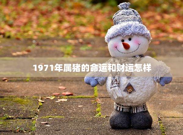 1971年属猪的命运和财运怎样