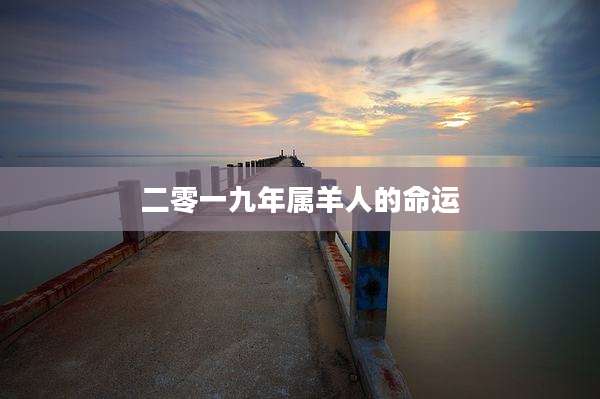 二零一九年属羊人的命运