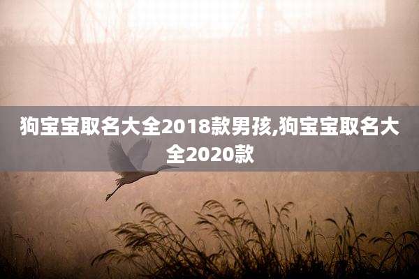狗宝宝取名大全2018款男孩,狗宝宝取名大全2020款