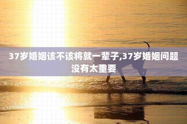 37岁婚姻该不该将就一辈子,37岁婚姻问题没有太重要