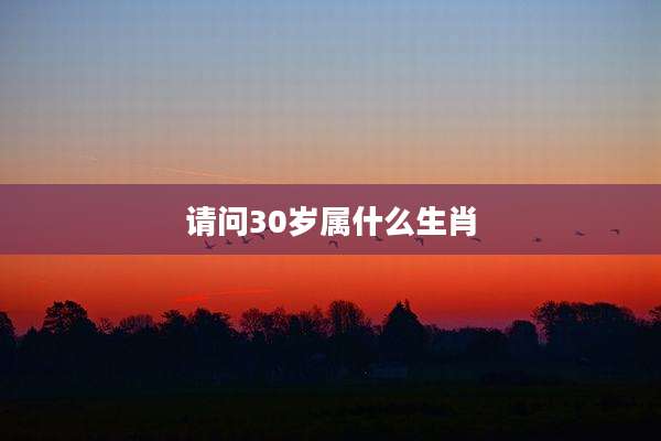 请问30岁属什么生肖