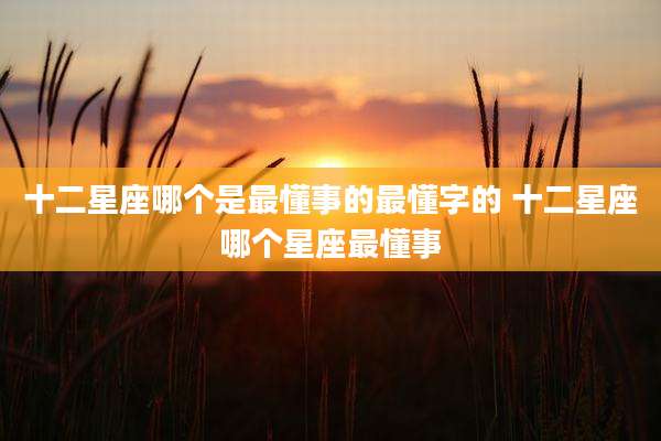 十二星座哪个是最懂事的最懂字的 十二星座哪个星座最懂事