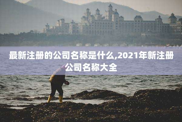 最新注册的公司名称是什么,2021年新注册公司名称大全