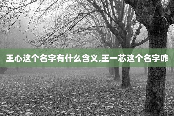 王心这个名字有什么含义,王一芯这个名字咋