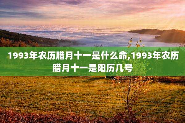 1993年农历腊月十一是什么命,1993年农历腊月十一是阳历几号