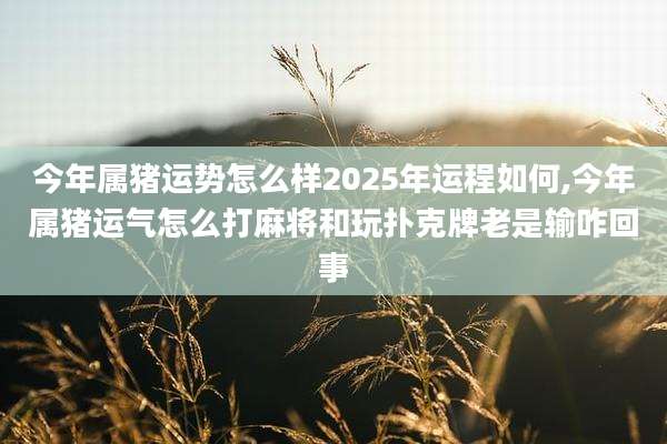 今年属猪运势怎么样2025年运程如何,今年属猪运气怎么打麻将和玩扑克牌老是输咋回事