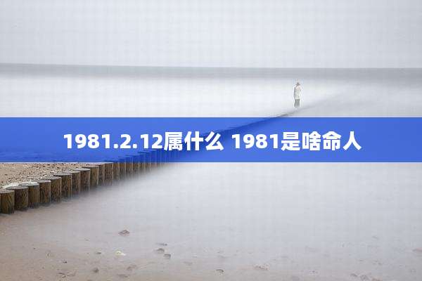 1981.2.12属什么 1981是啥命人
