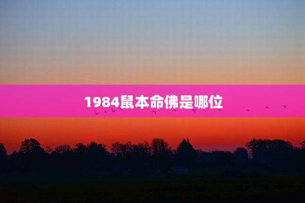 1984鼠本命佛是哪位