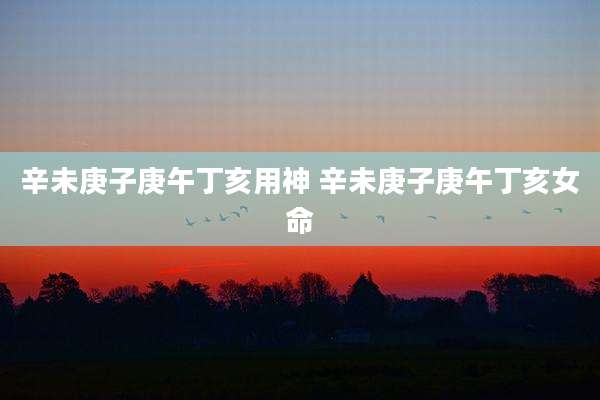 辛未庚子庚午丁亥用神 辛未庚子庚午丁亥女命