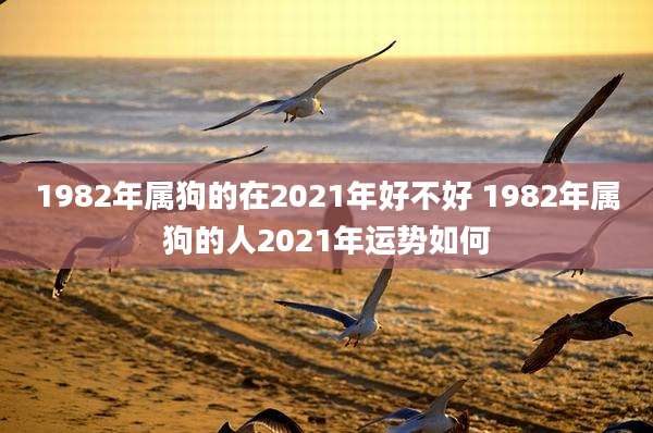 1982年属狗的在2021年好不好 1982年属狗的人2021年运势如何