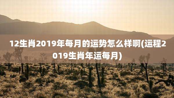 12生肖2019年每月的运势怎么样啊(运程2019生肖年运每月)