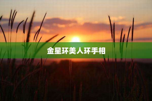 金星环美人环手相