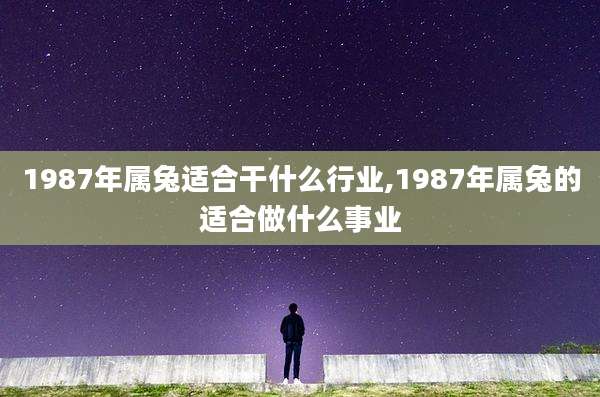 1987年属兔适合干什么行业,1987年属兔的适合做什么事业