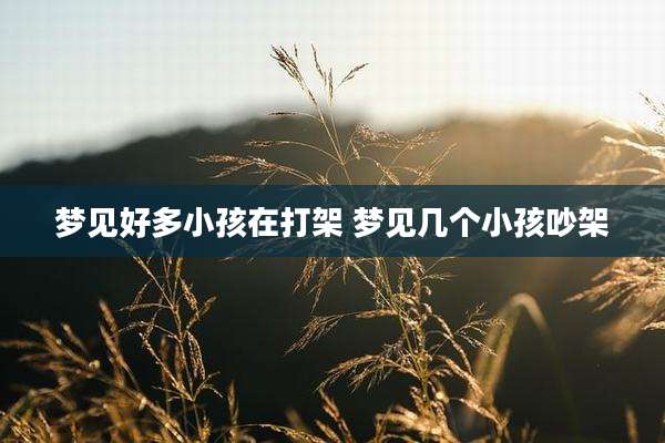 梦见好多小孩在打架 梦见几个小孩吵架
